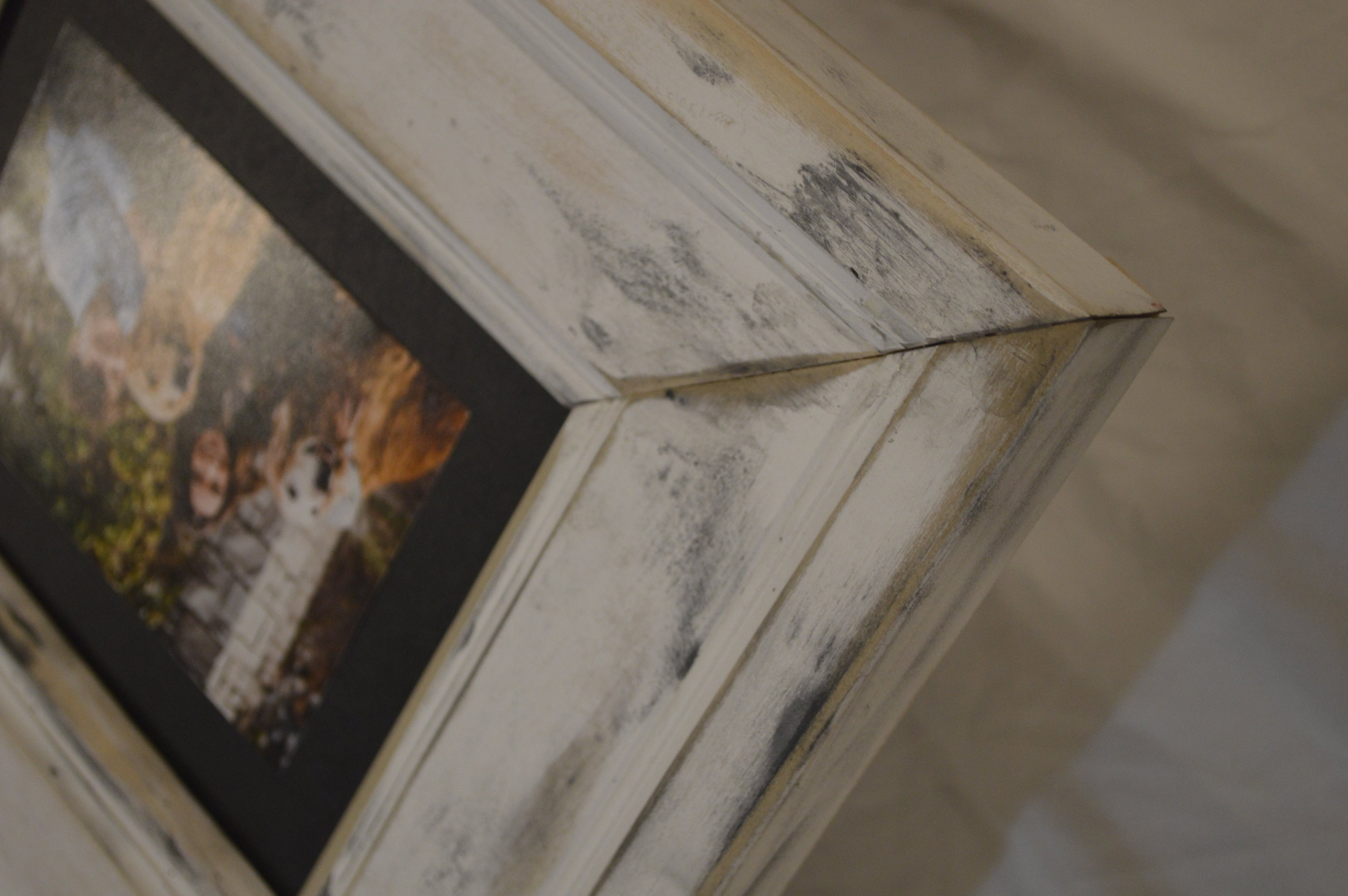 Framed photograph of a couple with a dog on a wooden surface